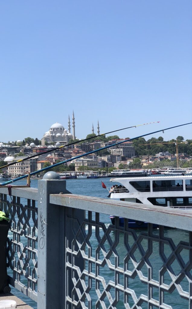 Beautiful Views from Istanbul's Galata Bridge, Istanbul, Turkey
