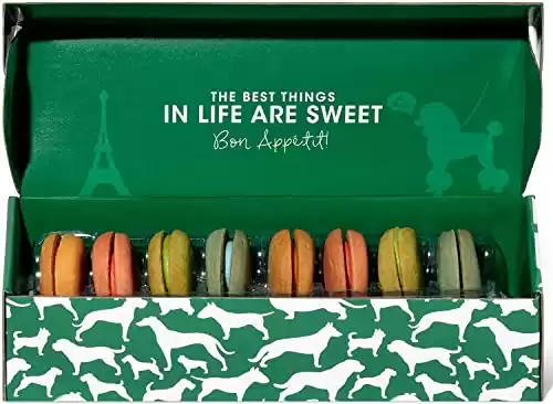 Thoughtfully Pets, Dog Macarons, Ginger Flavored Crunchy Dog Treats Includes Colorful Macaron Shaped Dog Treats to Spoil Your Special Pup with a True Parisian Experience, Pack of 8