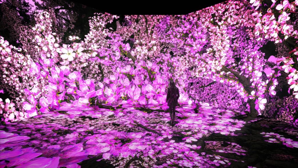 PixelBloom at ARTECHOUSE is a Virtual Color Explosion of Cherry Blossoms in Washington, D.C.