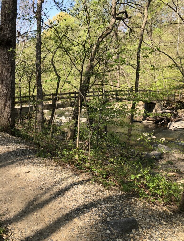 Enjoy trails along the Rock Creek watershed while hiking in Rock Creek Park