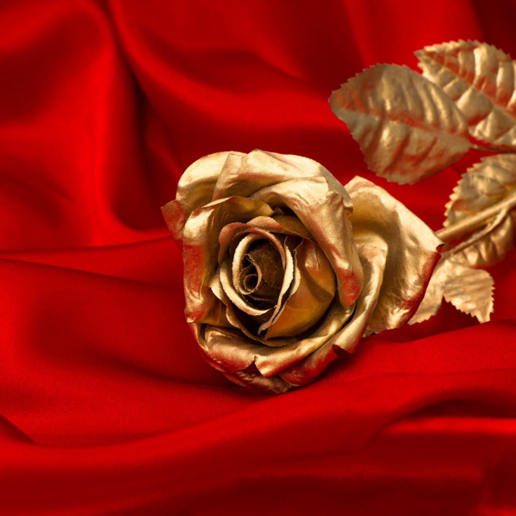 The Golden Bachelor showed viewers that a golden rose is available at any age