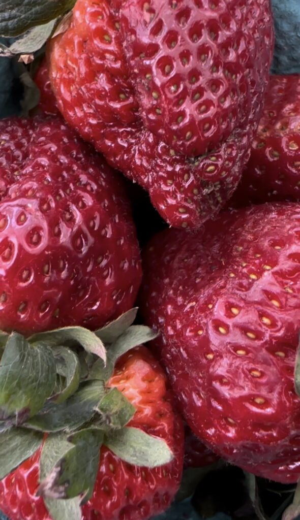 There's nothing like fresh summer strawberries in season